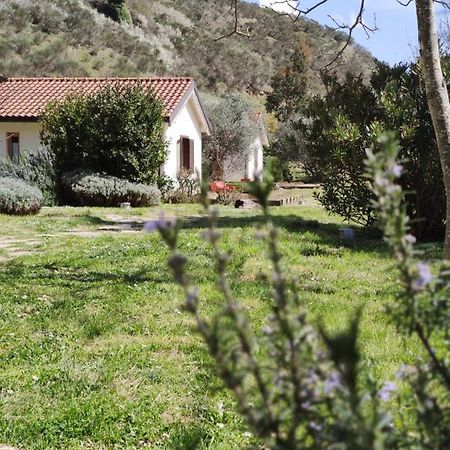 Taverna Centomani Potenza Zewnętrze zdjęcie
